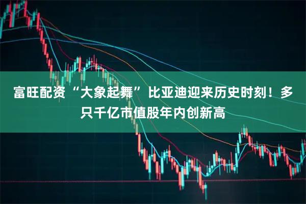 富旺配资 “大象起舞” 比亚迪迎来历史时刻！多只千亿市值股年内创新高