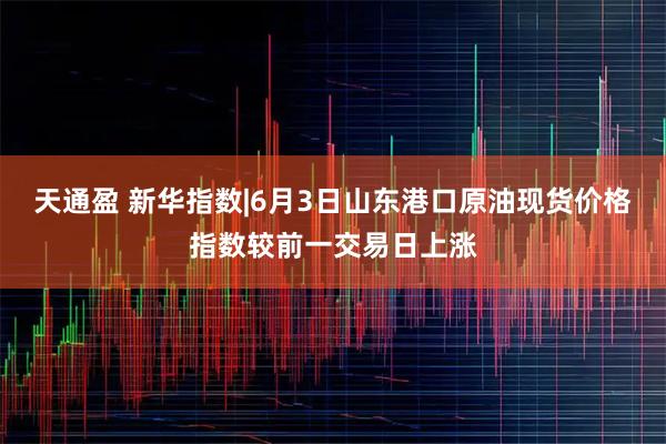天通盈 新华指数|6月3日山东港口原油现货价格指数较前一交易日上涨