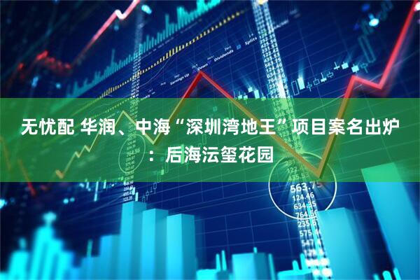 无忧配 华润、中海“深圳湾地王”项目案名出炉：后海沄玺花园