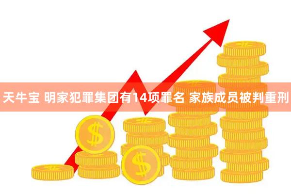 天牛宝 明家犯罪集团有14项罪名 家族成员被判重刑